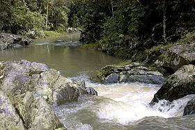 my favorite subject:  freshwater streams
