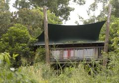our 'tree house' home