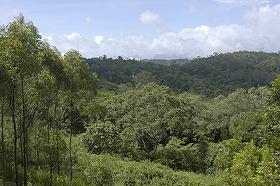 view from the cabin's deck